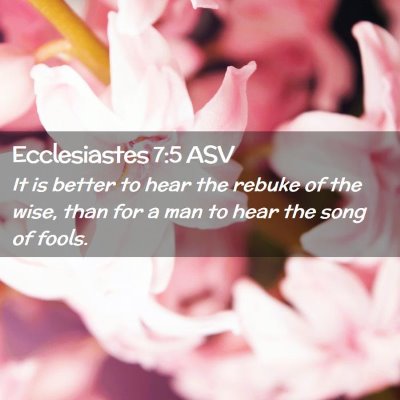 Picture 02 - Ecclesiastes 7:5 ASV - It is better to hear the rebuke of the wise, than - Bible Verse Picture