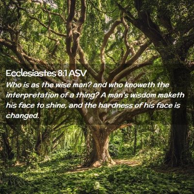 Picture 02 - Ecclesiastes 8:1 ASV - Who is as the wise man? and who knoweth the - Bible Verse Picture