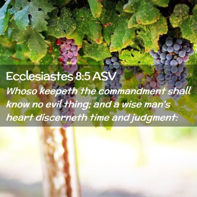 Picture 02 - Ecclesiastes 8:5 ASV - Whoso keepeth the commandment shall know no evil - Bible Verse Picture