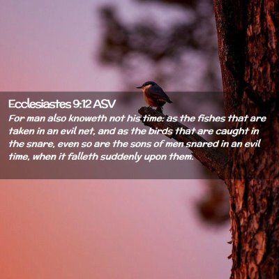 Picture 02 - Ecclesiastes 9:12 ASV - For man also knoweth not his time: as the fishes - Bible Verse Picture