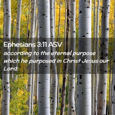 Picture 02 - Ephesians 3:11 ASV - according to the eternal purpose which he - Bible Verse Picture