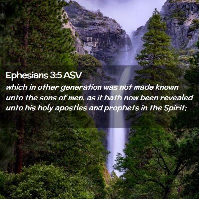 Picture 02 - Ephesians 3:5 ASV - which in other generation was not made known unto - Bible Verse Picture