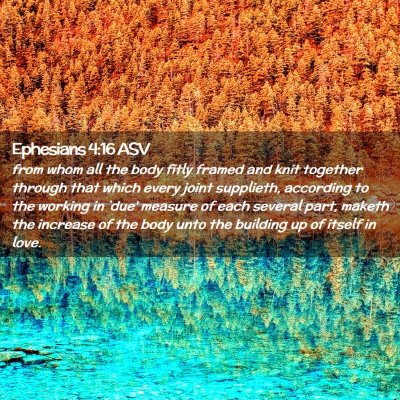 Picture 02 - Ephesians 4:16 ASV - from whom all the body fitly framed and knit - Bible Verse Picture