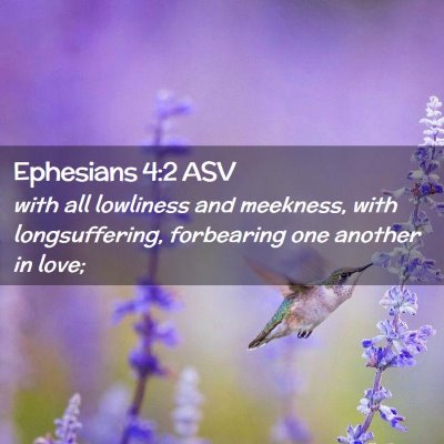 Picture 02 - Ephesians 4:2 ASV - with all lowliness and meekness, with - Bible Verse Picture