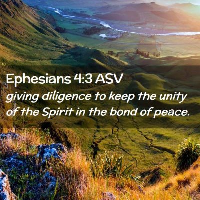 Picture 02 - Ephesians 4:3 ASV - giving diligence to keep the unity of the Spirit - Bible Verse Picture