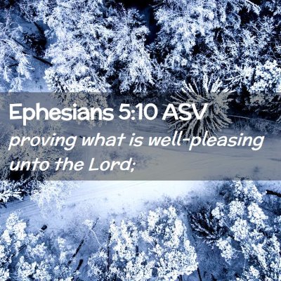Picture 02 - Ephesians 5:10 ASV - proving what is well-pleasing unto the - Bible Verse Picture