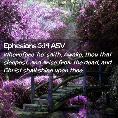 Picture 02 - Ephesians 5:14 ASV - Wherefore `he' saith, Awake, thou that sleepest, - Bible Verse Picture