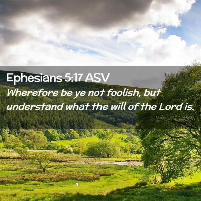 Picture 02 - Ephesians 5:17 ASV - Wherefore be ye not foolish, but understand what - Bible Verse Picture