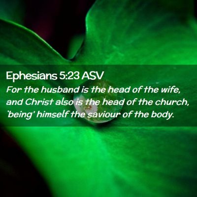 Picture 02 - Ephesians 5:23 ASV - For the husband is the head of the wife, and - Bible Verse Picture
