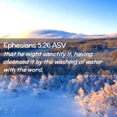 Picture 02 - Ephesians 5:26 ASV - that he might sanctify it, having cleansed it by - Bible Verse Picture