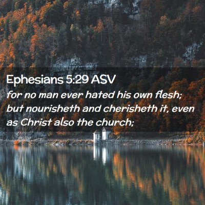 Picture 02 - Ephesians 5:29 ASV - for no man ever hated his own flesh; but - Bible Verse Picture