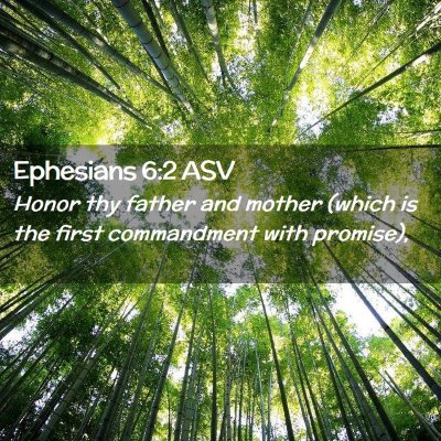 Picture 02 - Ephesians 6:2 ASV - Honor thy father and mother (which is the first - Bible Verse Picture