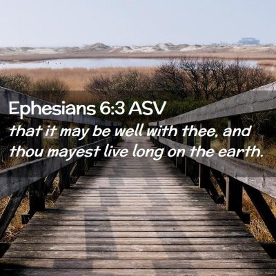 Picture 02 - Ephesians 6:3 ASV - that it may be well with thee, and thou mayest - Bible Verse Picture