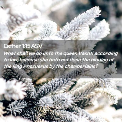 Picture 02 - Esther 1:15 ASV - What shall we do unto the queen Vashti according - Bible Verse Picture