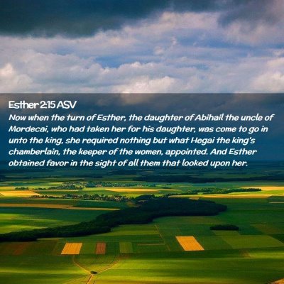 Picture 02 - Esther 2:15 ASV - Now when the turn of Esther, the daughter of - Bible Verse Picture
