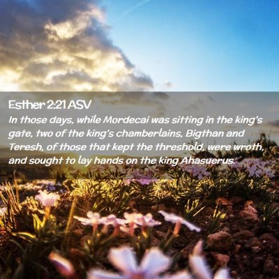 Picture 02 - Esther 2:21 ASV - In those days, while Mordecai was sitting in the - Bible Verse Picture