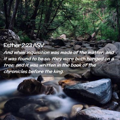 Picture 02 - Esther 2:23 ASV - And when inquisition was made of the matter, and - Bible Verse Picture