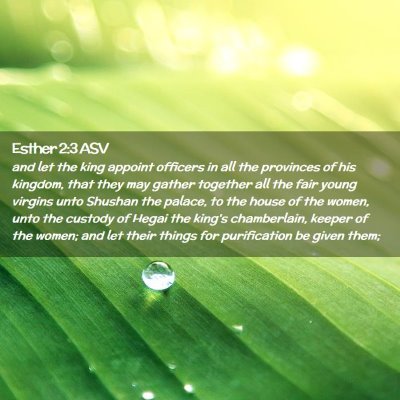 Picture 02 - Esther 2:3 ASV - and let the king appoint officers in all the - Bible Verse Picture