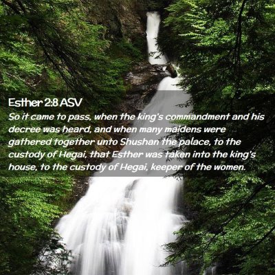 Picture 02 - Esther 2:8 ASV - So it came to pass, when the king's commandment - Bible Verse Picture