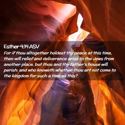 Picture 02 - Esther 4:14 ASV - For if thou altogether holdest thy peace at this - Bible Verse Picture