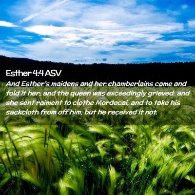 Picture 02 - Esther 4:4 ASV - And Esther's maidens and her chamberlains came - Bible Verse Picture