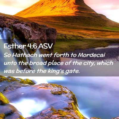 Picture 02 - Esther 4:6 ASV - So Hathach went forth to Mordecai unto the broad - Bible Verse Picture