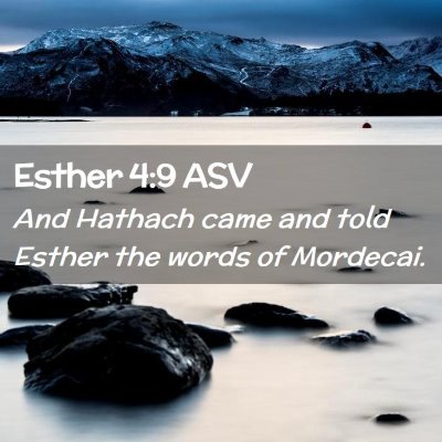 Picture 02 - Esther 4:9 ASV - And Hathach came and told Esther the words of - Bible Verse Picture