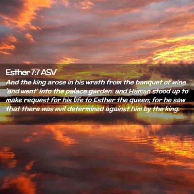 Picture 02 - Esther 7:7 ASV - And the king arose in his wrath from the banquet - Bible Verse Picture
