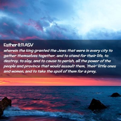 Picture 02 - Esther 8:11 ASV - wherein the king granted the Jews that were in - Bible Verse Picture