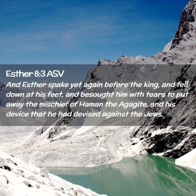 Picture 02 - Esther 8:3 ASV - And Esther spake yet again before the king, and - Bible Verse Picture