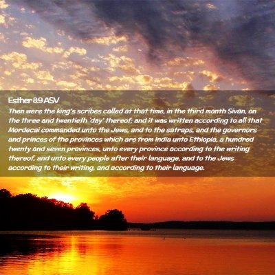 Picture 02 - Esther 8:9 ASV - Then were the king's scribes called at that time, - Bible Verse Picture