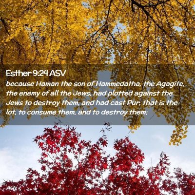 Picture 02 - Esther 9:24 ASV - because Haman the son of Hammedatha, the Agagite, - Bible Verse Picture