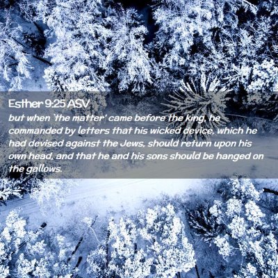 Picture 02 - Esther 9:25 ASV - but when `the matter' came before the king, he - Bible Verse Picture