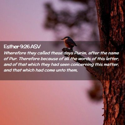 Picture 02 - Esther 9:26 ASV - Wherefore they called these days Purim, after the - Bible Verse Picture