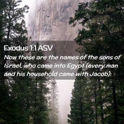 Picture 02 - Exodus 1:1 ASV - Now these are the names of the sons of Israel, - Bible Verse Picture