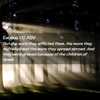 Picture 02 - Exodus 1:12 ASV - But the more they afflicted them, the more they - Bible Verse Picture