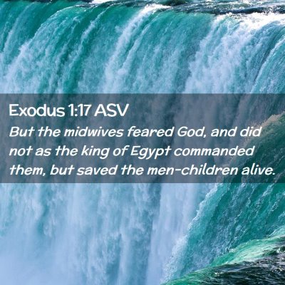 Picture 02 - Exodus 1:17 ASV - But the midwives feared God, and did not as the - Bible Verse Picture