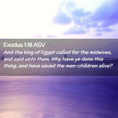 Picture 02 - Exodus 1:18 ASV - And the king of Egypt called for the midwives, - Bible Verse Picture