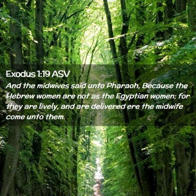 Picture 02 - Exodus 1:19 ASV - And the midwives said unto Pharaoh, Because the - Bible Verse Picture