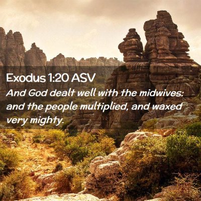Picture 02 - Exodus 1:20 ASV - And God dealt well with the midwives: and the - Bible Verse Picture