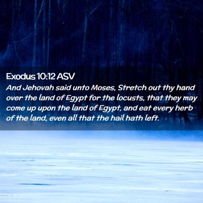 Picture 02 - Exodus 10:12 ASV - And Jehovah said unto Moses, Stretch out thy hand - Bible Verse Picture