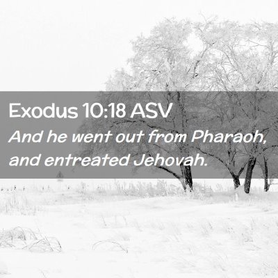 Picture 02 - Exodus 10:18 ASV - And he went out from Pharaoh, and entreated - Bible Verse Picture