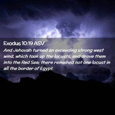 Picture 02 - Exodus 10:19 ASV - And Jehovah turned an exceeding strong west wind, - Bible Verse Picture