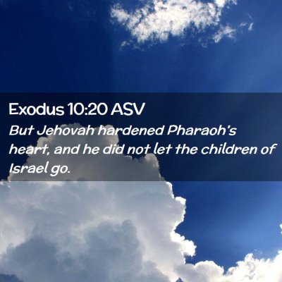 Picture 02 - Exodus 10:20 ASV - But Jehovah hardened Pharaoh's heart, and he did - Bible Verse Picture