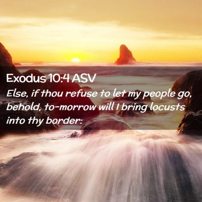 Picture 02 - Exodus 10:4 ASV - Else, if thou refuse to let my people go, behold, - Bible Verse Picture