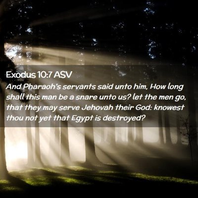 Picture 02 - Exodus 10:7 ASV - And Pharaoh's servants said unto him, How long - Bible Verse Picture