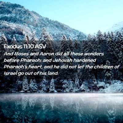 Picture 02 - Exodus 11:10 ASV - And Moses and Aaron did all these wonders before - Bible Verse Picture