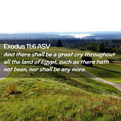 Picture 02 - Exodus 11:6 ASV - And there shall be a great cry throughout all the - Bible Verse Picture