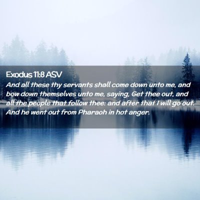 Picture 02 - Exodus 11:8 ASV - And all these thy servants shall come down unto - Bible Verse Picture