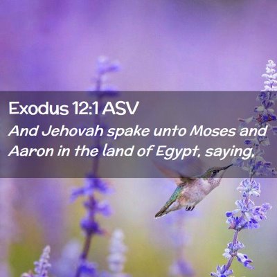 Picture 02 - Exodus 12:1 ASV - And Jehovah spake unto Moses and Aaron in the - Bible Verse Picture